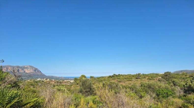 Alicante - Педрегер - 220000m2