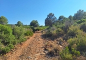 Non-developable land for sale on España, Pedreguer, ref: TR367663 photo