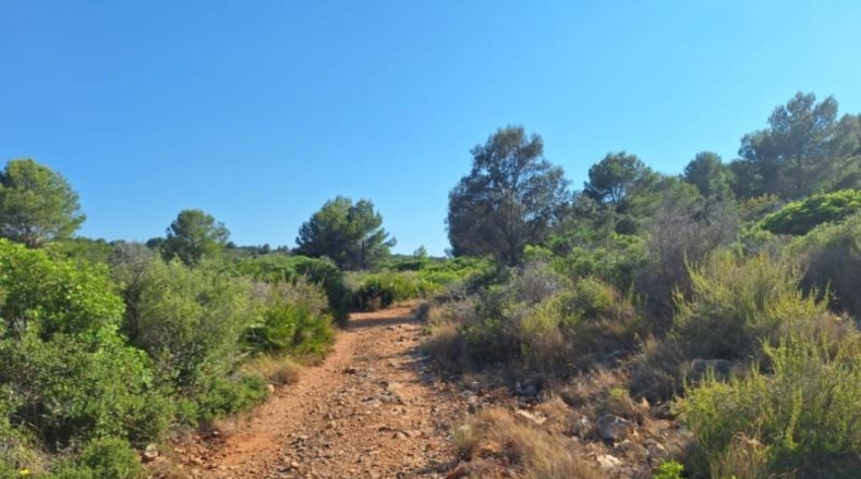 Alicante - Педрегер - 220000m2