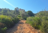 Non-developable land for sale on España, Pedreguer, ref: TR367663 photo