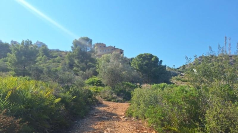 Alicante - Педрегер - 220000m2
