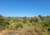 Non-developable land for sale on España, Pedreguer, ref: TR367663 photo