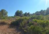 Non-developable land for sale on España, Pedreguer, ref: TR367663 photo