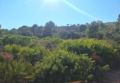 Non-developable land for sale on España, Pedreguer, ref: TR367663 photo