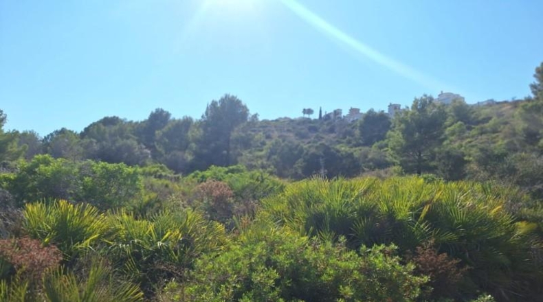 Alicante - Педрегер - 220000m2