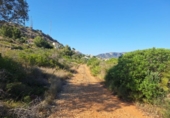 Non-developable land for sale on España, Pedreguer, ref: TR367663 photo