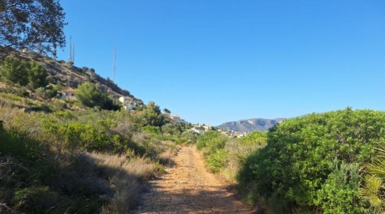 Alicante - Педрегер - 220000m2