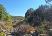 Non-developable land for sale on España, Pedreguer, ref: TR367663 photo