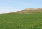 Non-developable land for sale on España, Yecla, ref: TR417096 photo