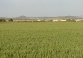 Non-developable land for sale on España, Yecla, ref: TR417096 photo