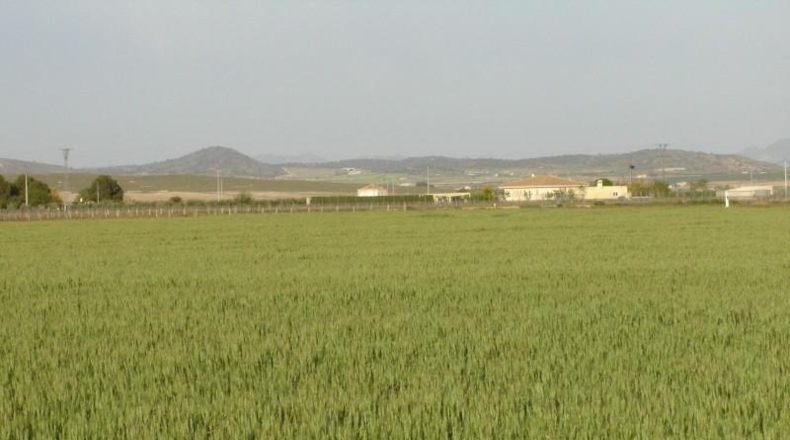 Мурсия - Yecla - 340000m2