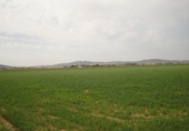 Non-developable land for sale on España, Yecla, ref: TR417096 photo