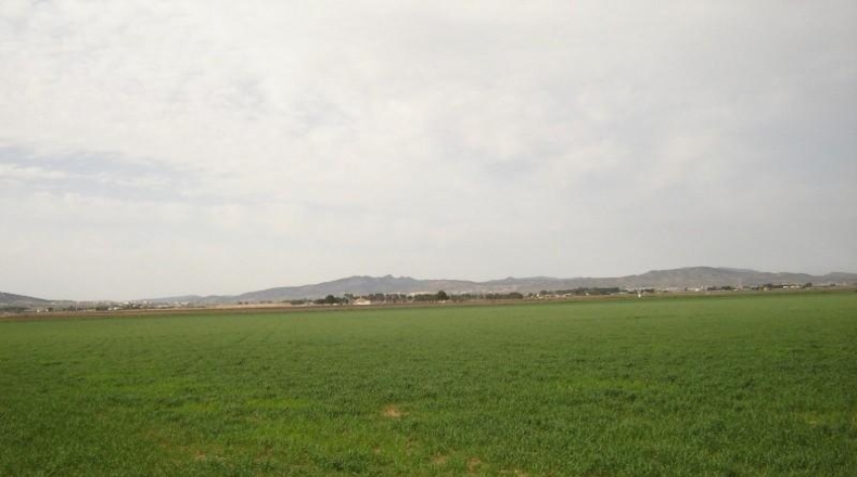 Мурсия - Yecla - 340000m2