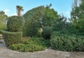 Chalet independiente con terreno en venta en la España, Inca, ref: TR356093 foto