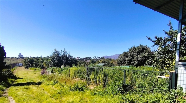 Málaga - Estepona - 3800m2