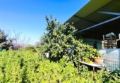 Masia with land for sale on Río, Estepona, ref: TR417098 photo