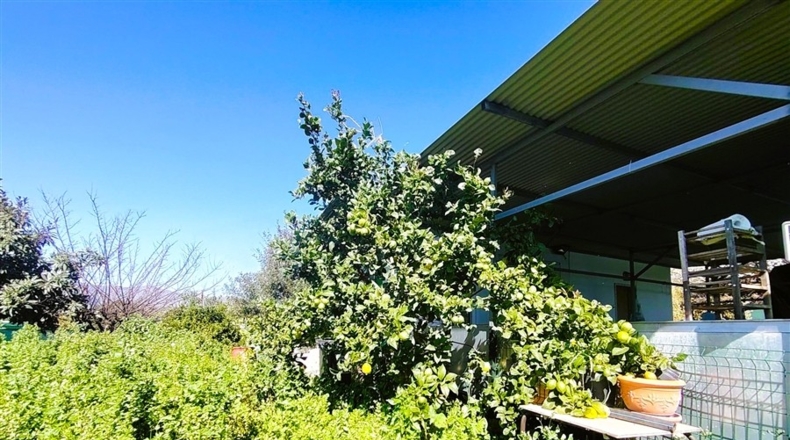 Málaga - Estepona - 3800m2