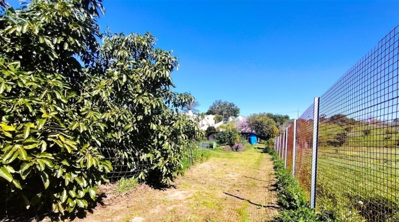 Málaga - Estepona - 3800m2