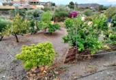Masía con terreno en venta en Águilas ref: TR417099 foto