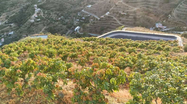 Гранада - Almuñécar - 35800m2