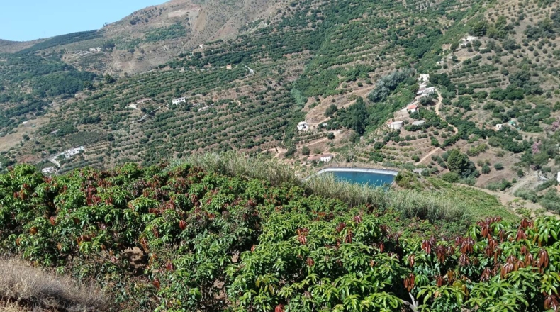 Гранада - Almuñécar - 35800m2