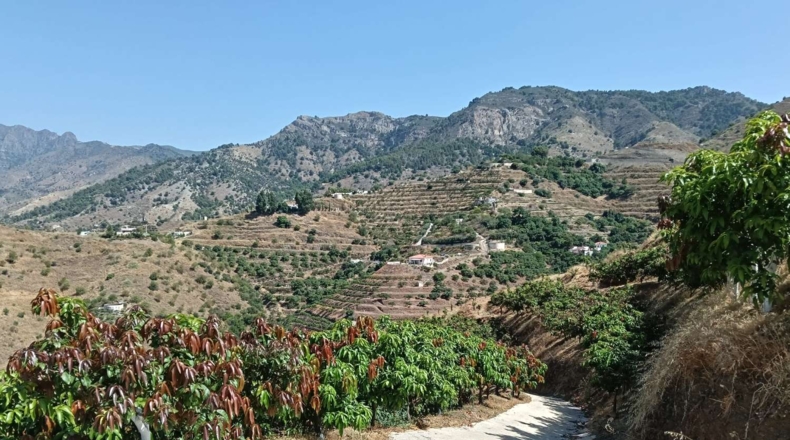 Гранада - Almuñécar - 35800m2