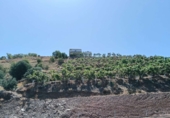 Finca rústica en venta en Almuñécar ref: TR417101 foto