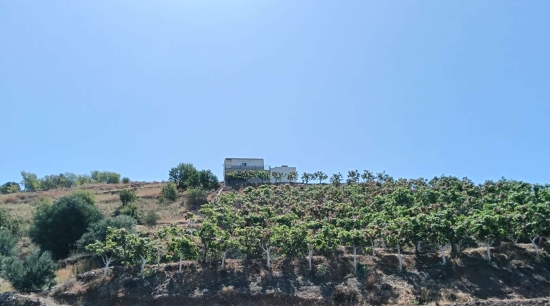 Гранада - Almuñécar - 35800m2