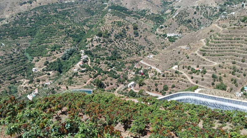 Гранада - Almuñécar - 35800m2