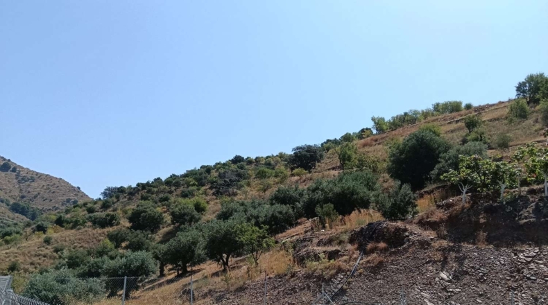 Гранада - Almuñécar - 35800m2