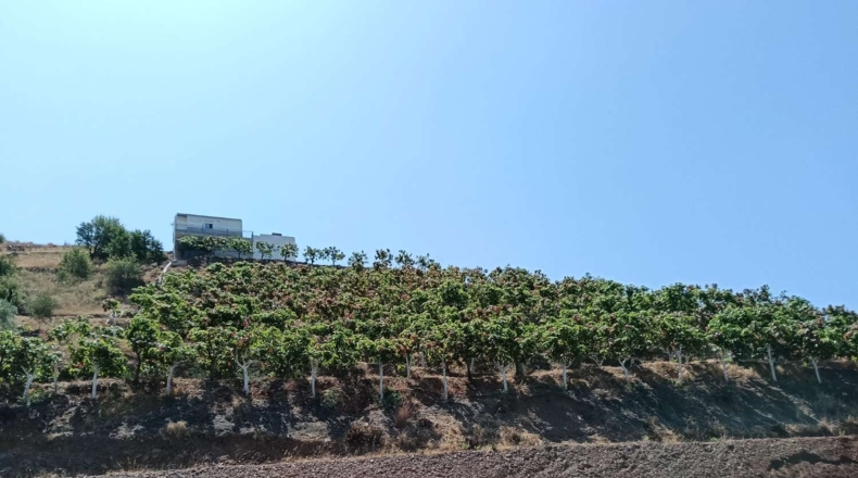 Гранада - Almuñécar - 35800m2