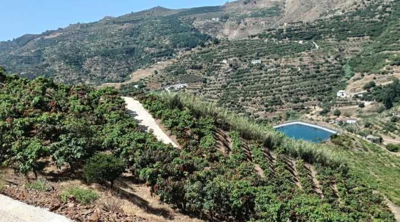 Гранада - Almuñécar - 35800m2