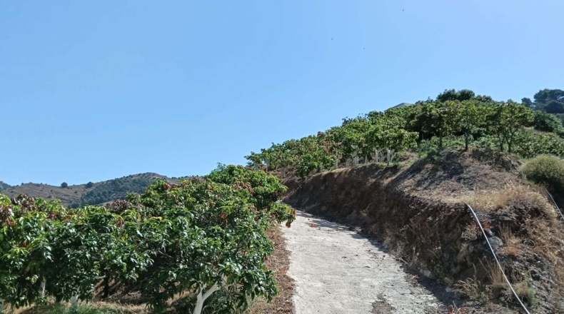 Гранада - Almuñécar - 35800m2