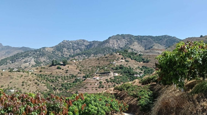 Гранада - Almuñécar - 35800m2
