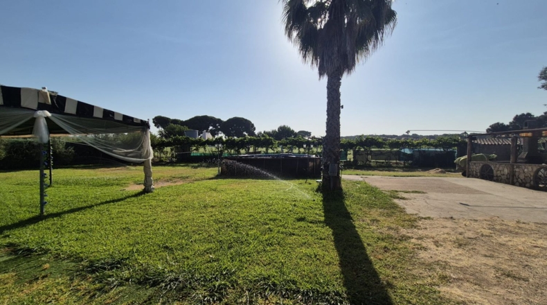 Badajoz - Badajoz - 1500m2
