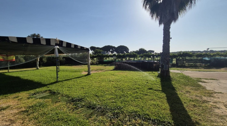 Badajoz - Badajoz - 1500m2