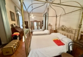 Casa de campo con terreno en venta en Santa Cruz de Mudela ref: TR417108 foto