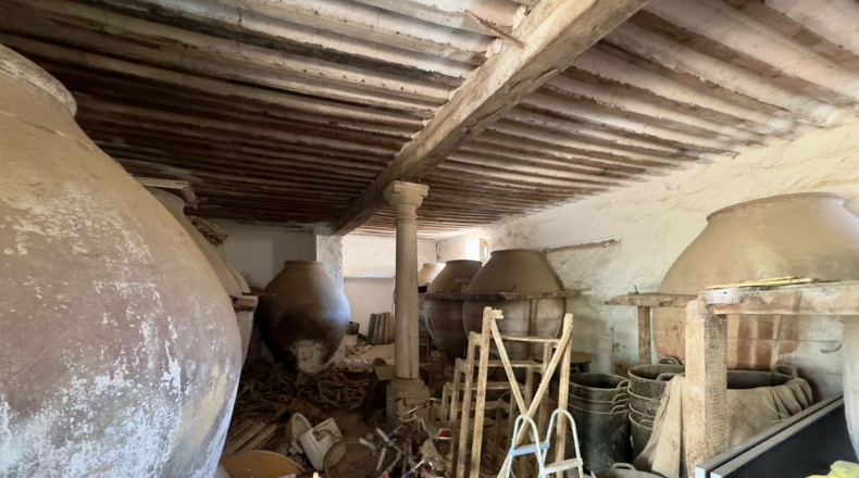 Ciudad Real - Santa Cruz de Mudela - 1790m2