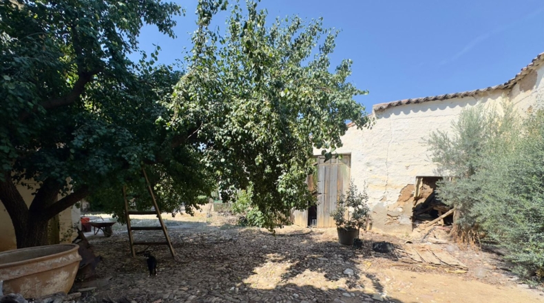 Ciudad Real - Santa Cruz de Mudela - 1790m2