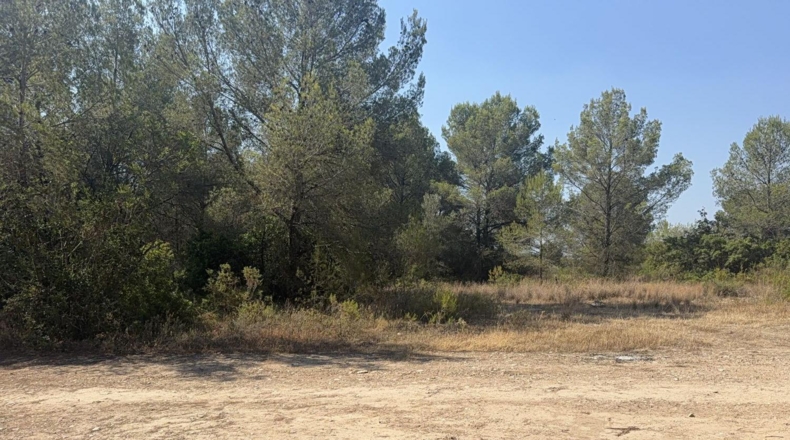 Tarragona - Vilabella - 13000m2