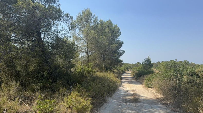 Tarragona - Vilabella - 13000m2