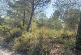 Vilabella 13000&nbsp;m²