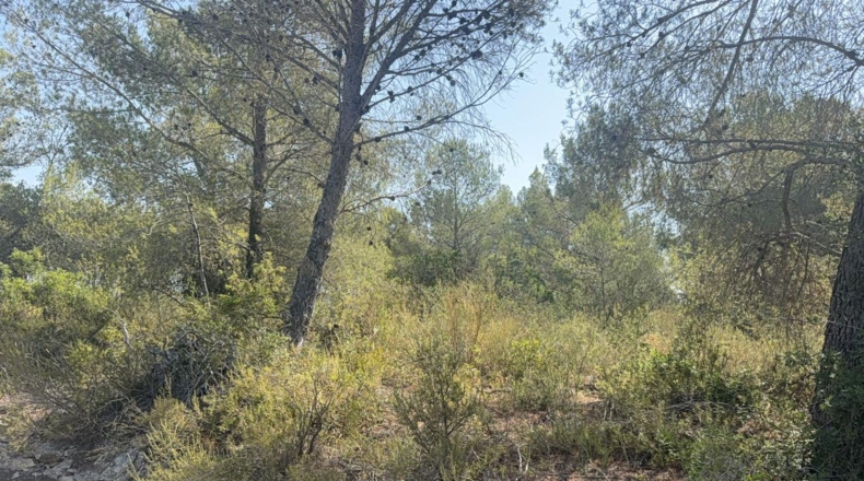 Tarragona - Vilabella - 13000m2