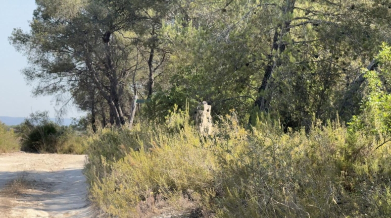Tarragona - Vilabella - 13000m2