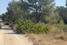 Vilabella 13000&nbsp;m²