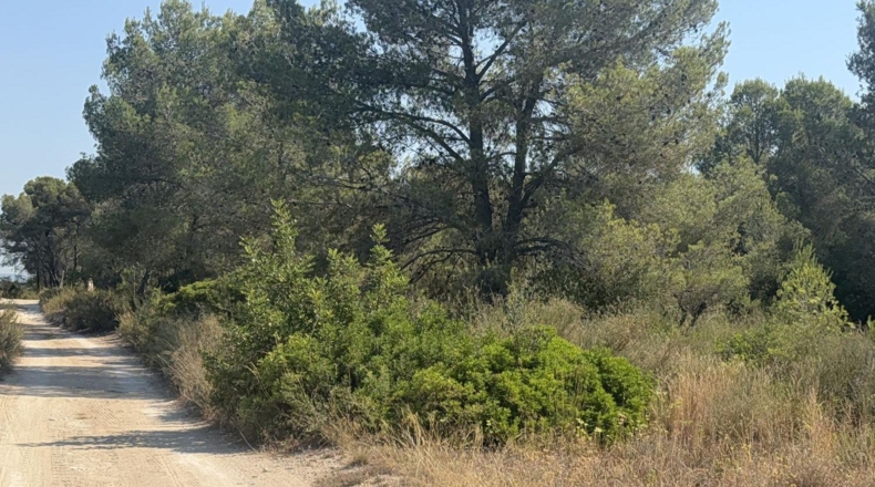Tarragona - Vilabella - 13000m2