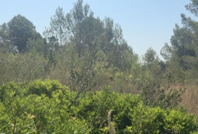 Vilabella 13000&nbsp;m²