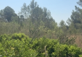 Terreno no urbanizable en venta en Vilabella ref: TR417116 foto