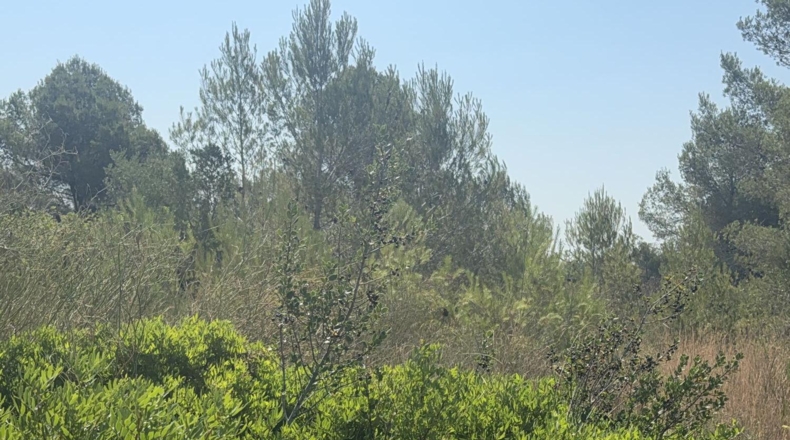 Tarragona - Vilabella - 13000m2