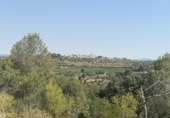 Terreno no urbanizable en venta en Vilabella ref: TR417116 foto
